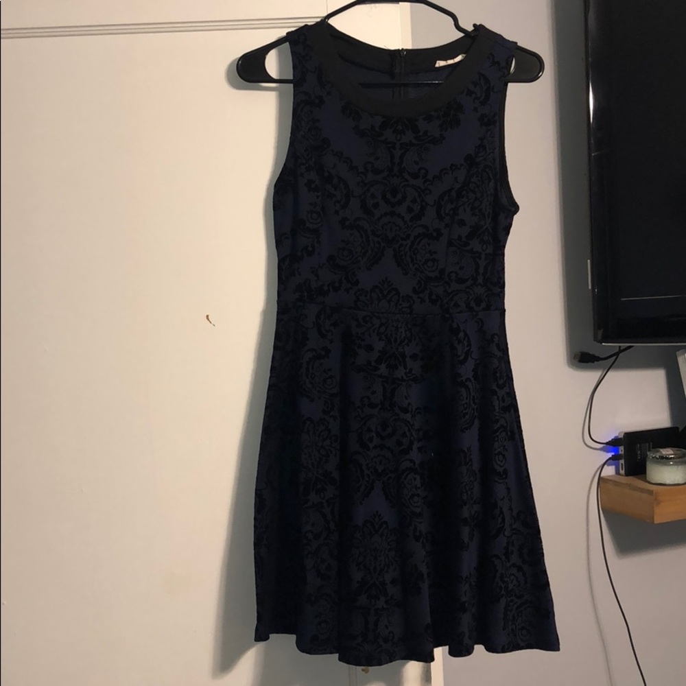 lush black and navy paisley velvety skater dress